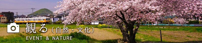 観る