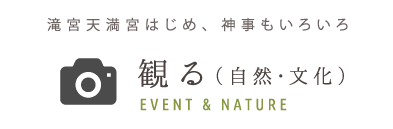観る（自然・文化）